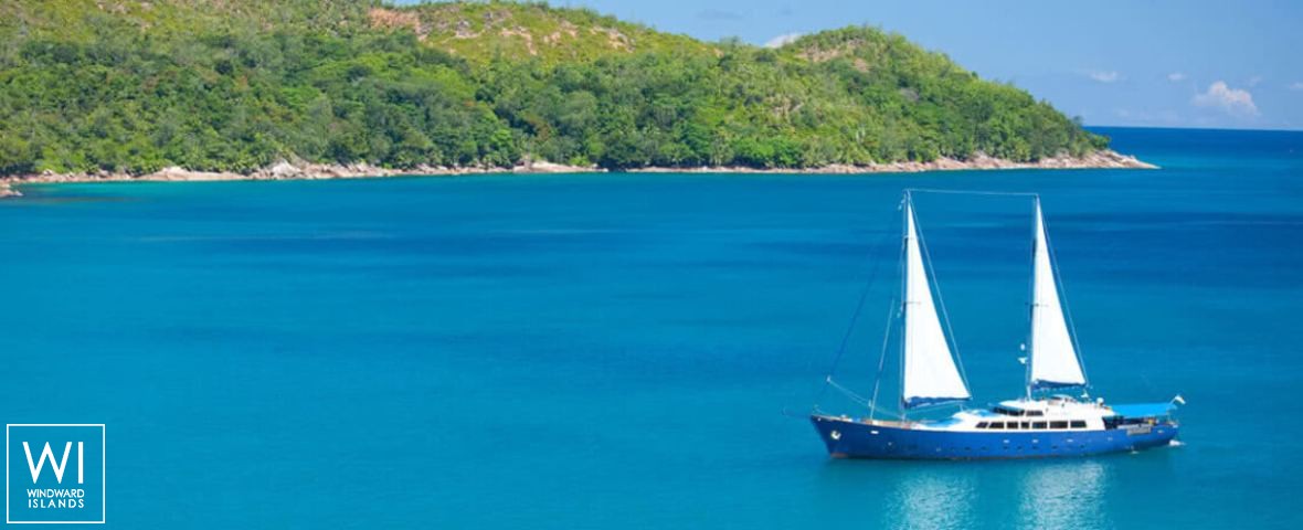 
																Sea Star																 1