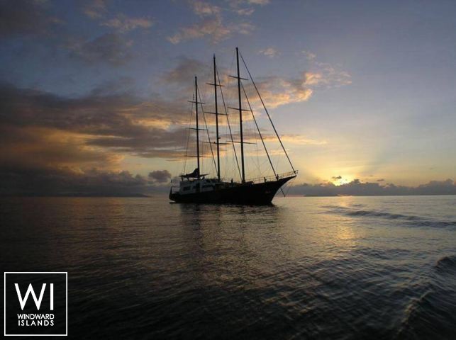 
																Sea Star																 3