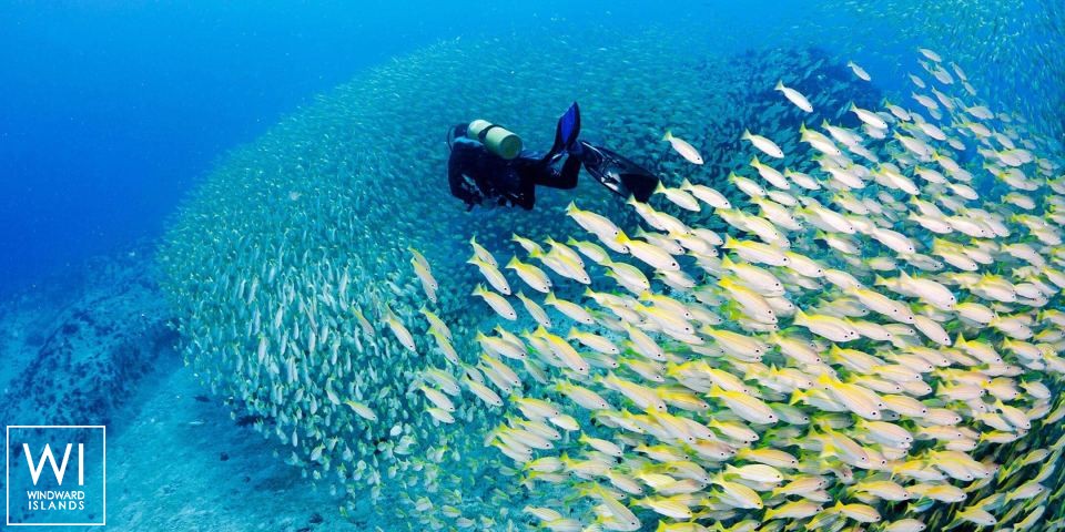 
																S.Y SEA PEARL																 4