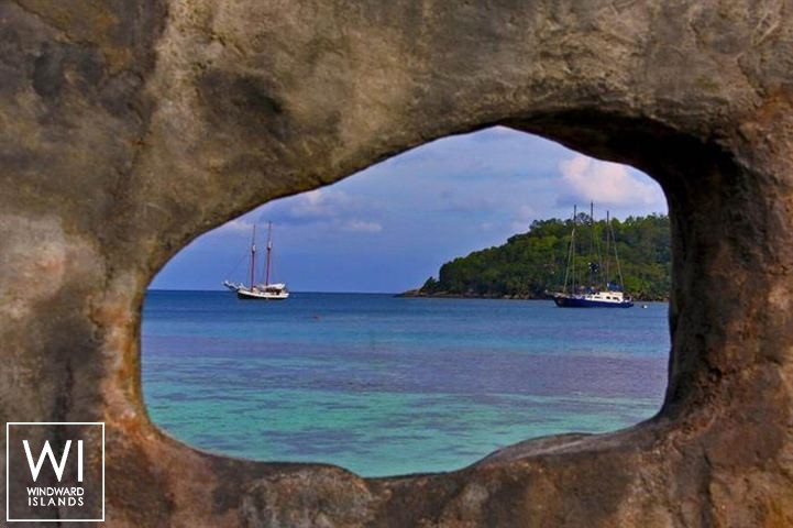 
																S.Y SEA PEARL																 5