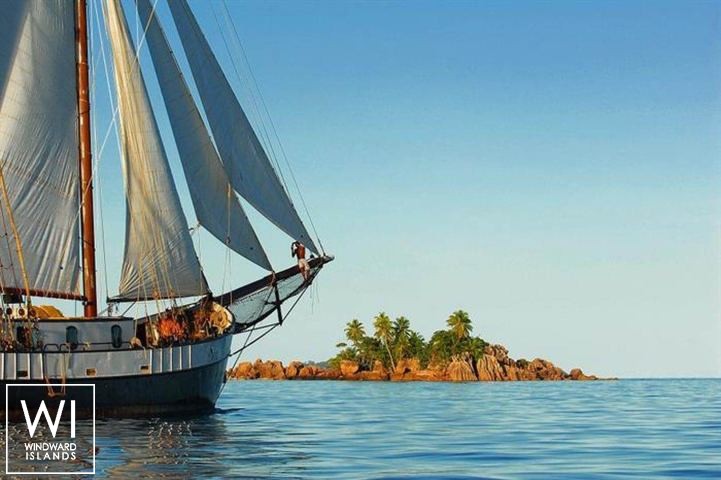 
																S.Y SEA PEARL																 3