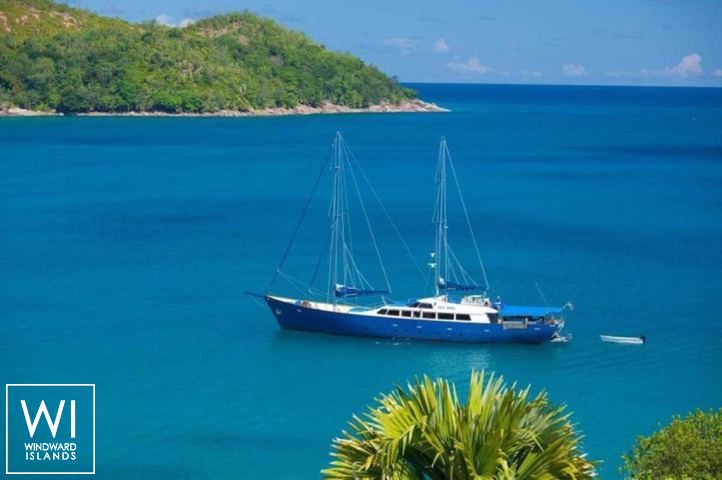 
																Sea Bird																 2