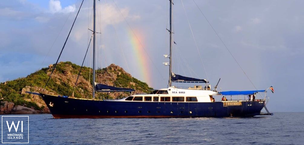 
																Sea Bird																 1