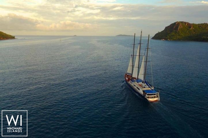 
																Sea Bird																 4