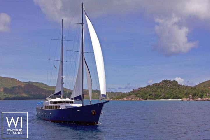 
																Sea Bird																 0