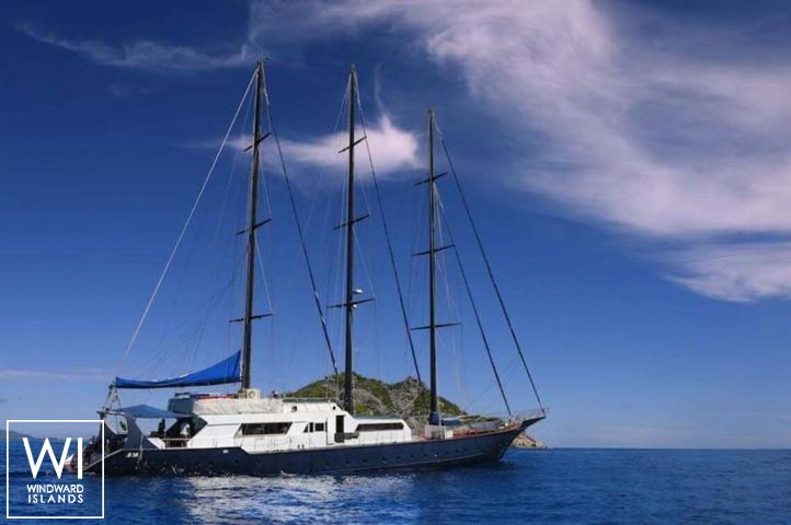 
																Sea Bird																 5