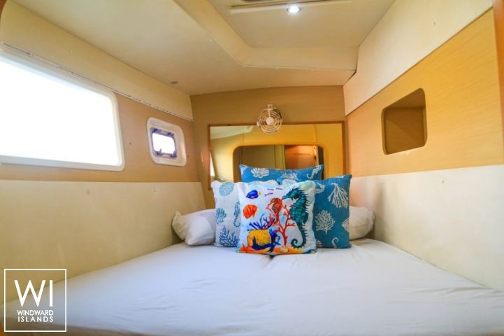 
																Chicote																 5