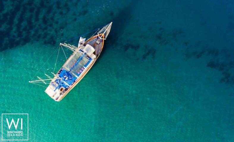 
																Tajna Mora																 2