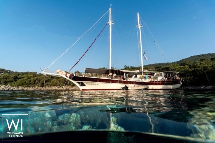 
																Seahorse																 1