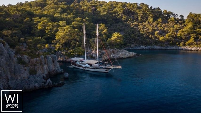 
																Seahorse																 2