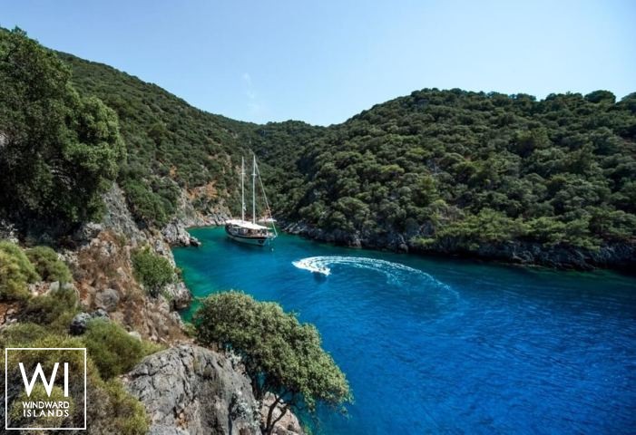 
																Seahorse																 3