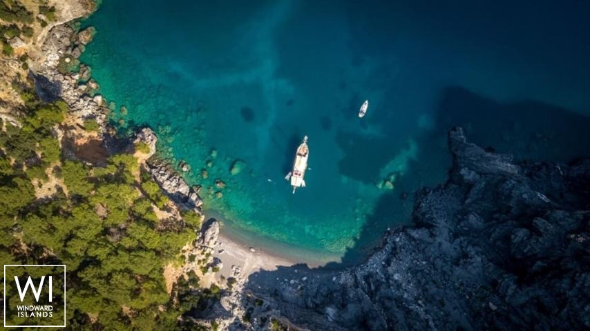 
																Seahorse																 5