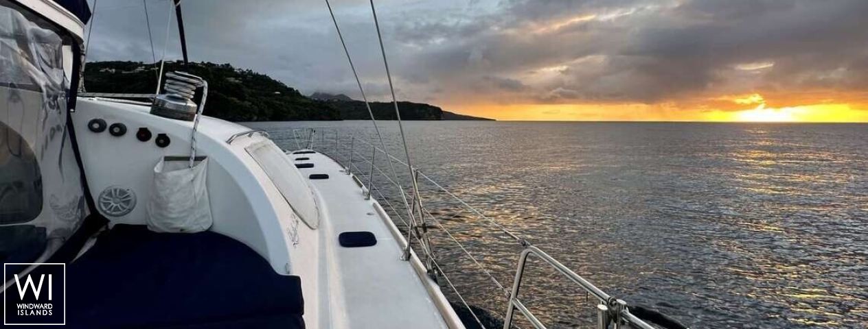 
																Lady Marigot																 4