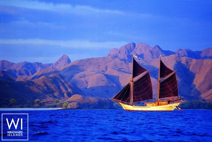 
																Silolona																 2