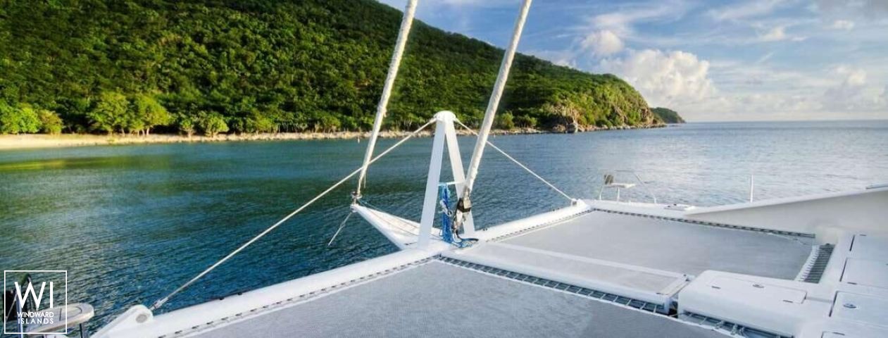 
																Zingara																 6