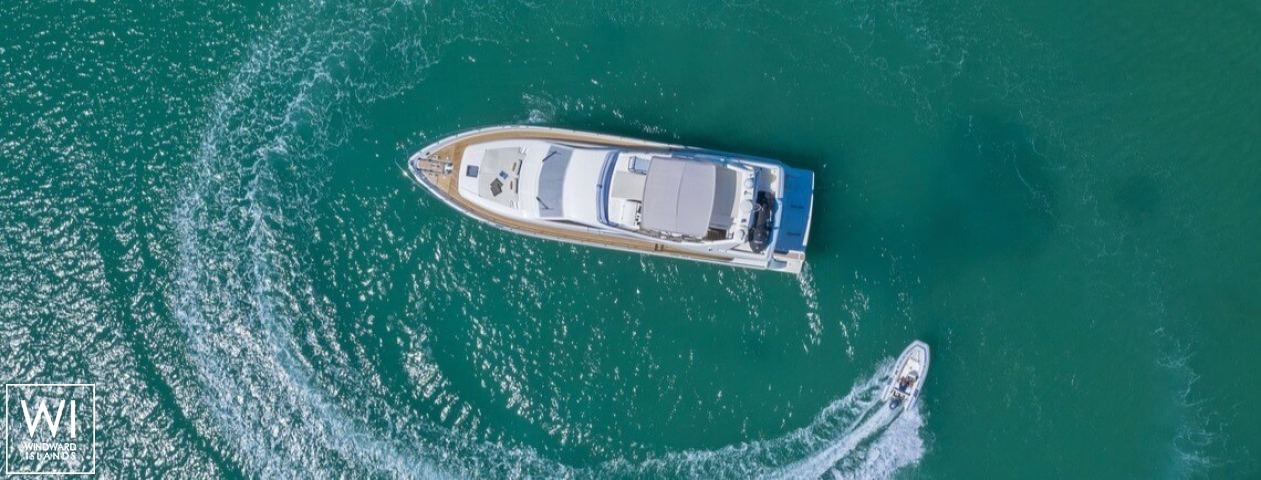 
																DOMINIQUE																 4