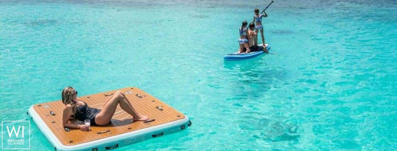 
																BLUEWINDS																 2