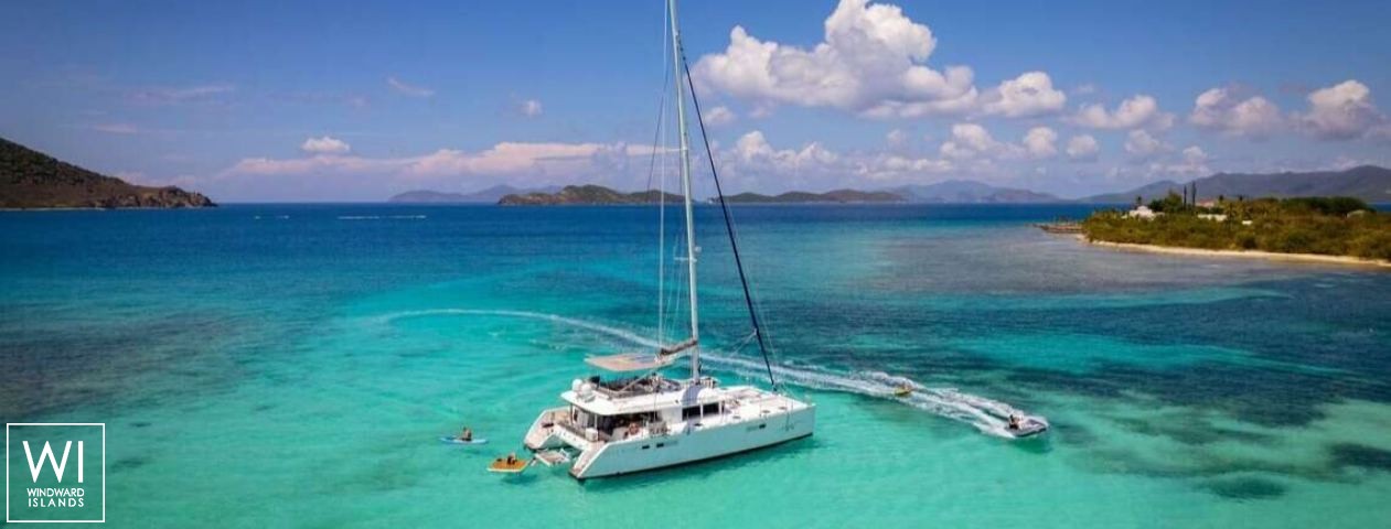 
																BLUEWINDS																 1