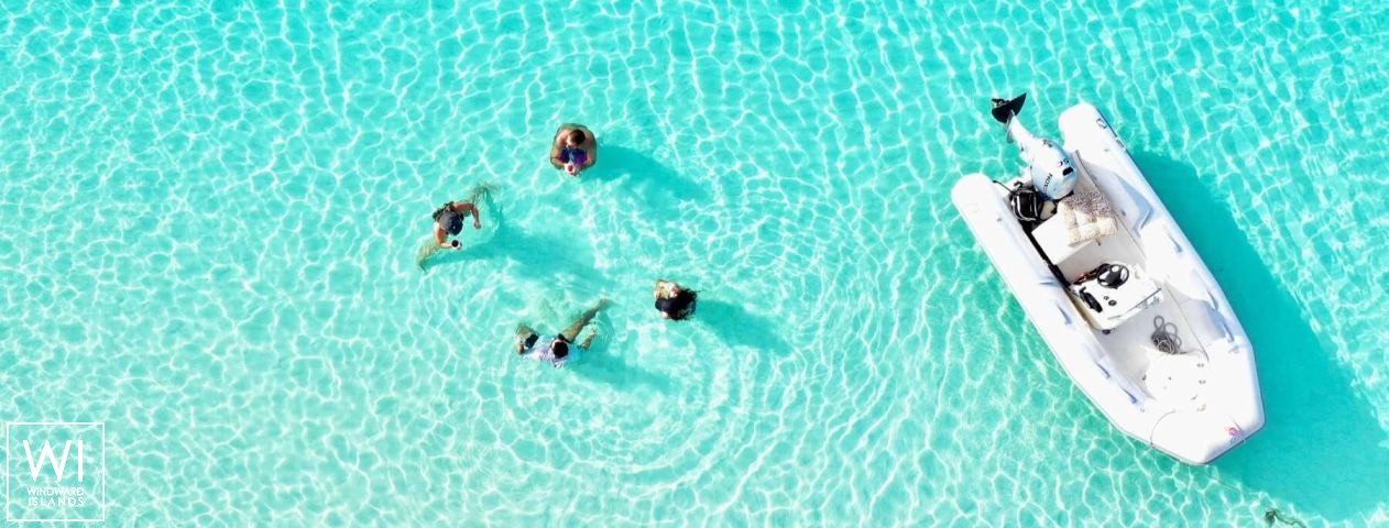 
																WHISPERS II																 6