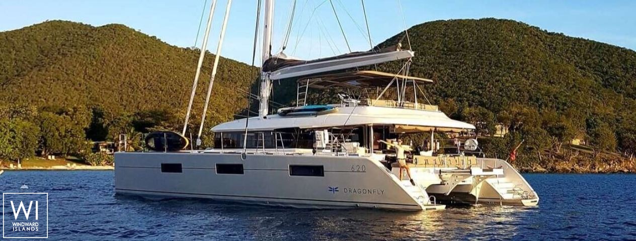 
																DRAGONFLY																 1