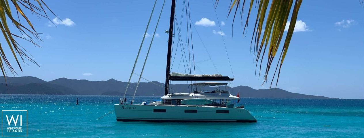 
																BAGHEERA																 1