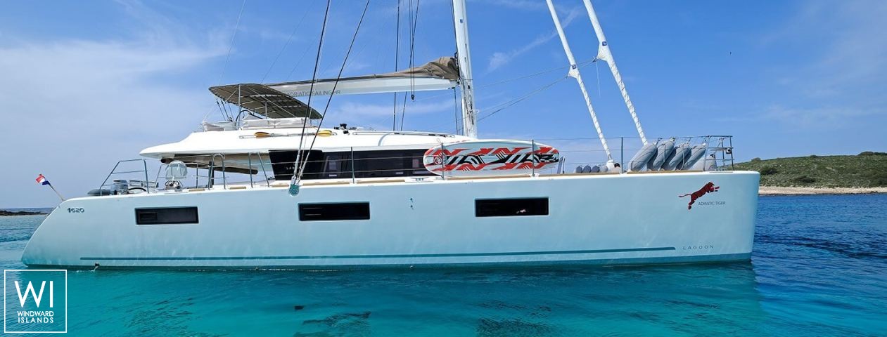 
																Adriatic Tiger																 3