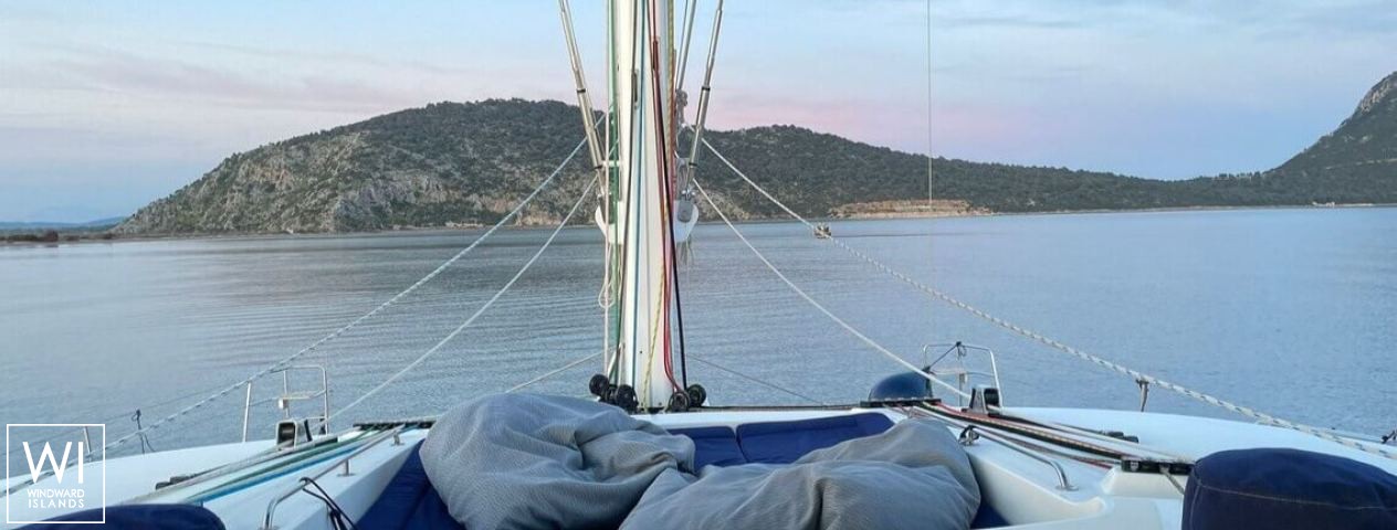 
																Blue Griffin																 2