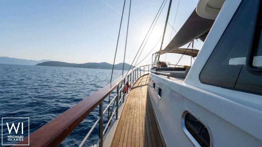 
																LA LIBERTA																 5