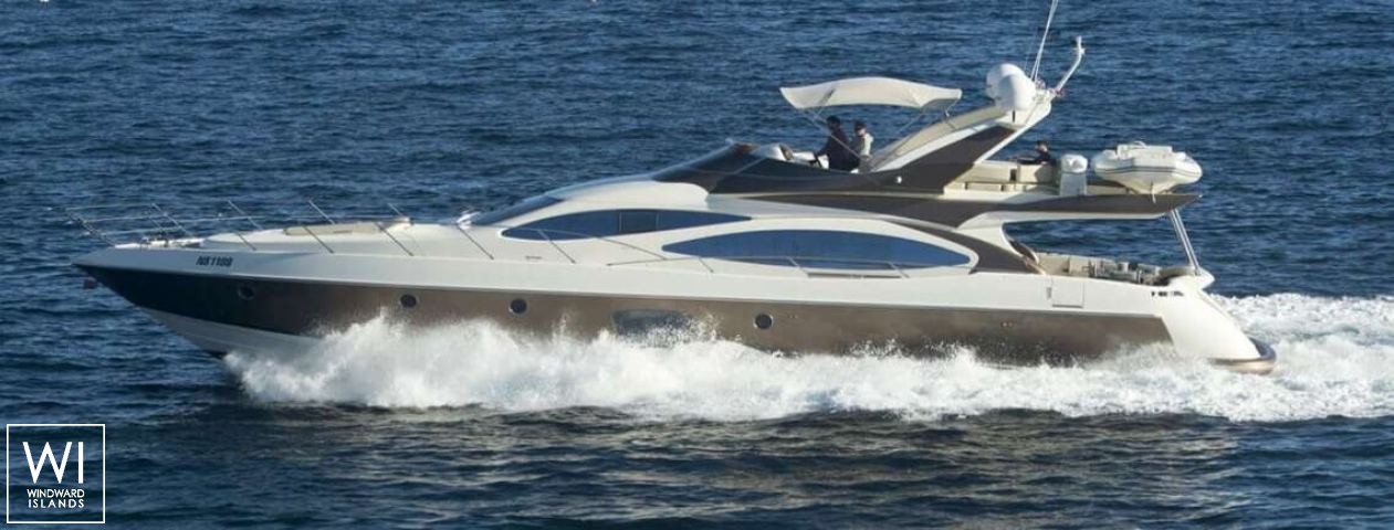 
																Medusa																 3