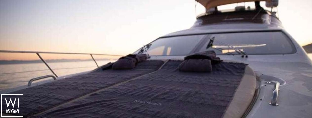 
																Medusa																 4