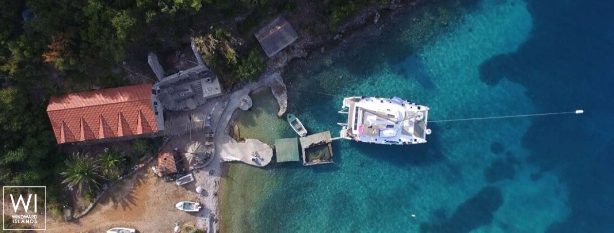 
																Princess Aphrodite																 5