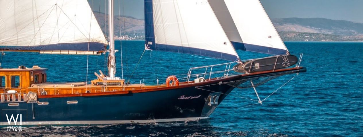 
																Smart Spirit I																 1