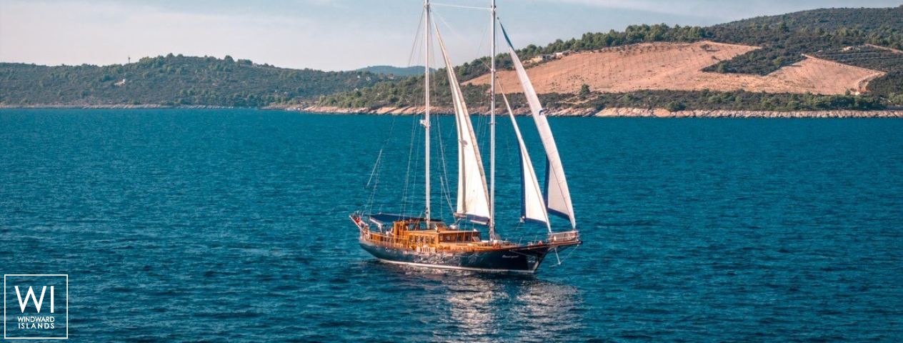 
																Smart Spirit I																 3