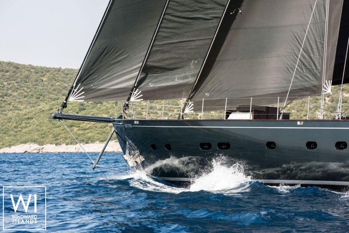 
																Rox Star																 1