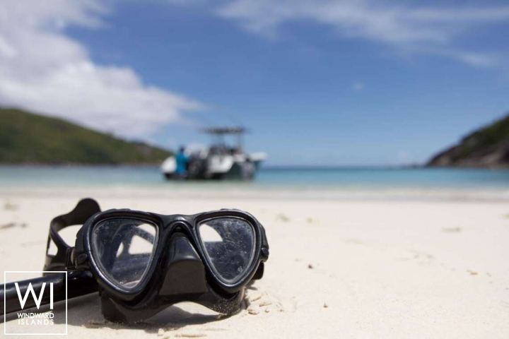 
																LONESTAR 																 5