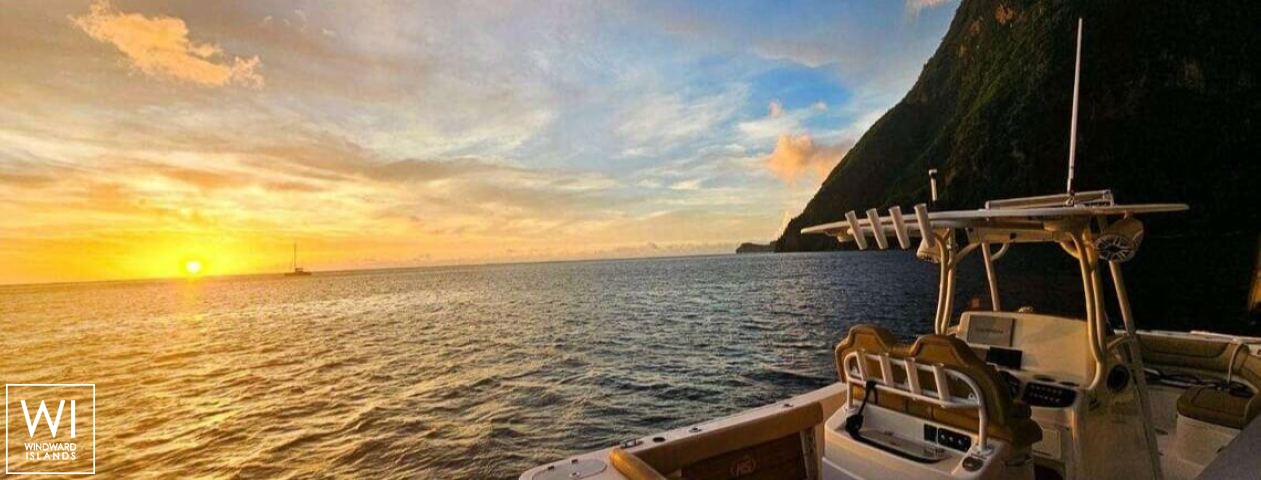 
																SYNERGY																 6