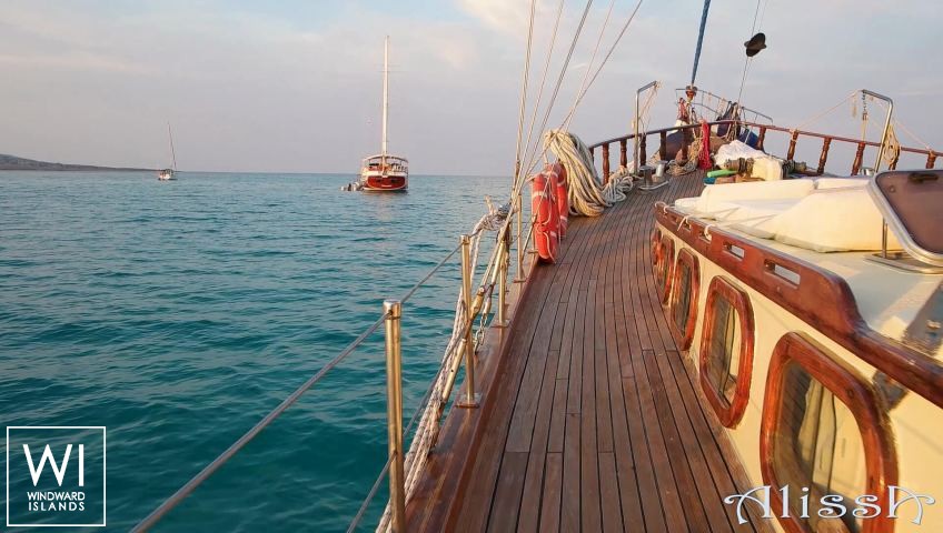 
																ALISSA																 5