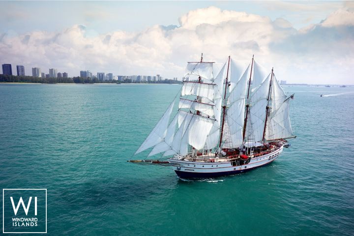 
																Royal Albatross																 1