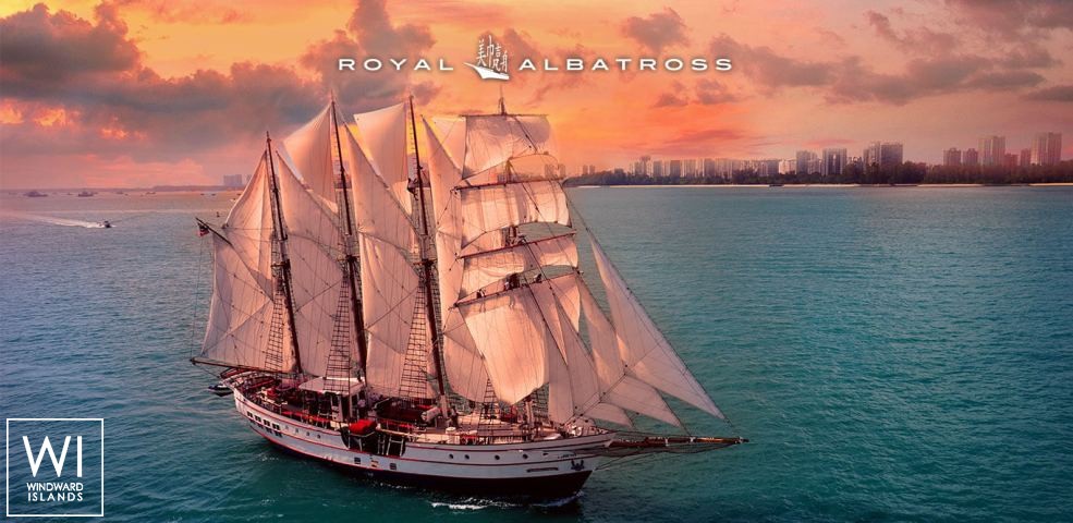 
																Royal Albatross																 0