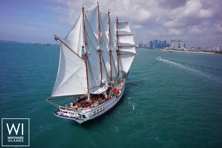 
																Royal Albatross																 2