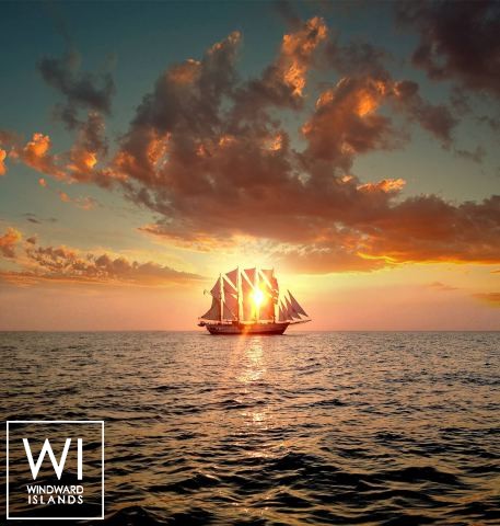 
																Royal Albatross																 4