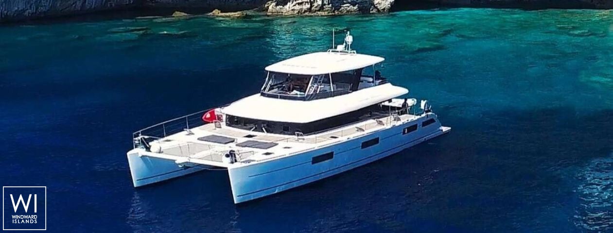 
																Cute Little Cat																 0