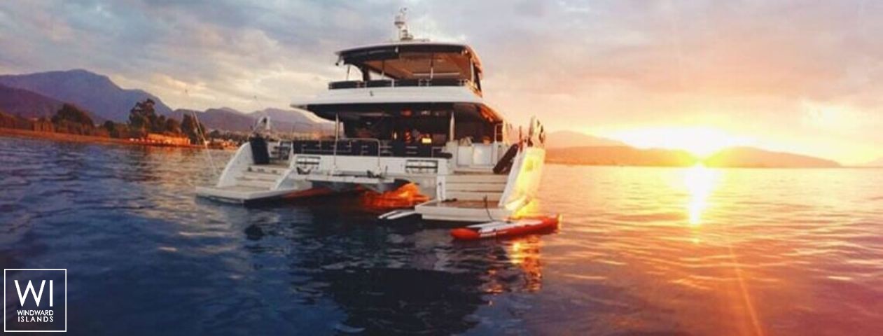 
																Cute Little Cat																 3