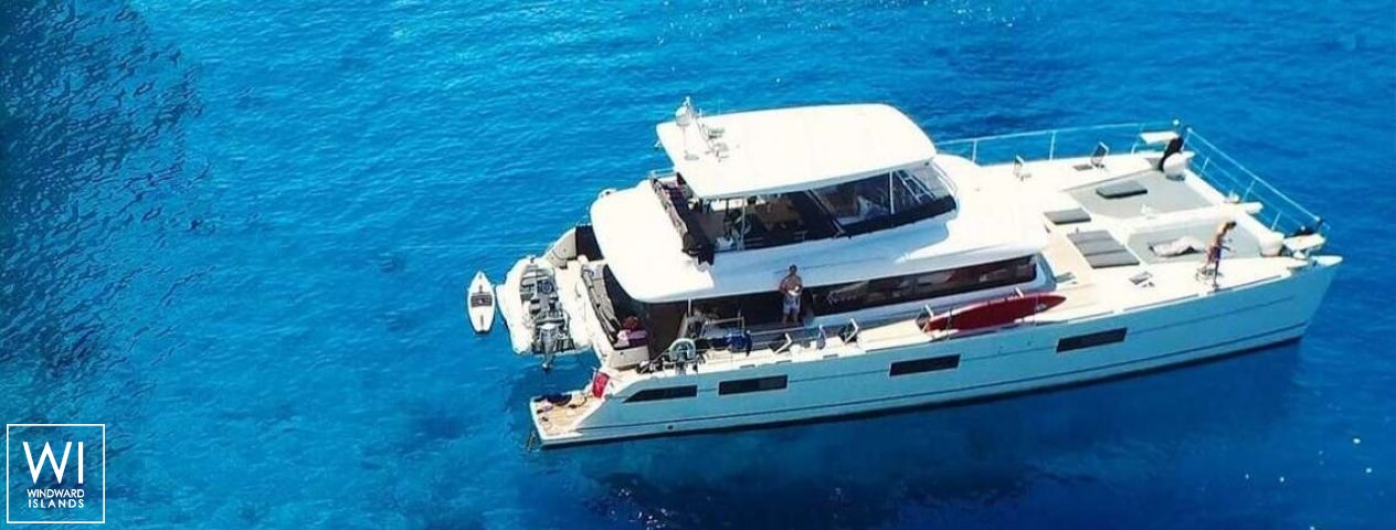 
																Cute Little Cat																 1