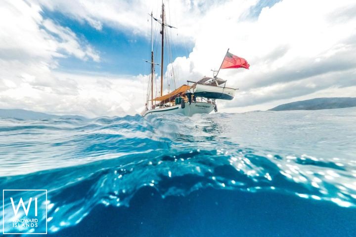 
																Dallinghoo																 4