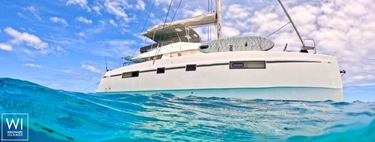 
																Papillon																 4