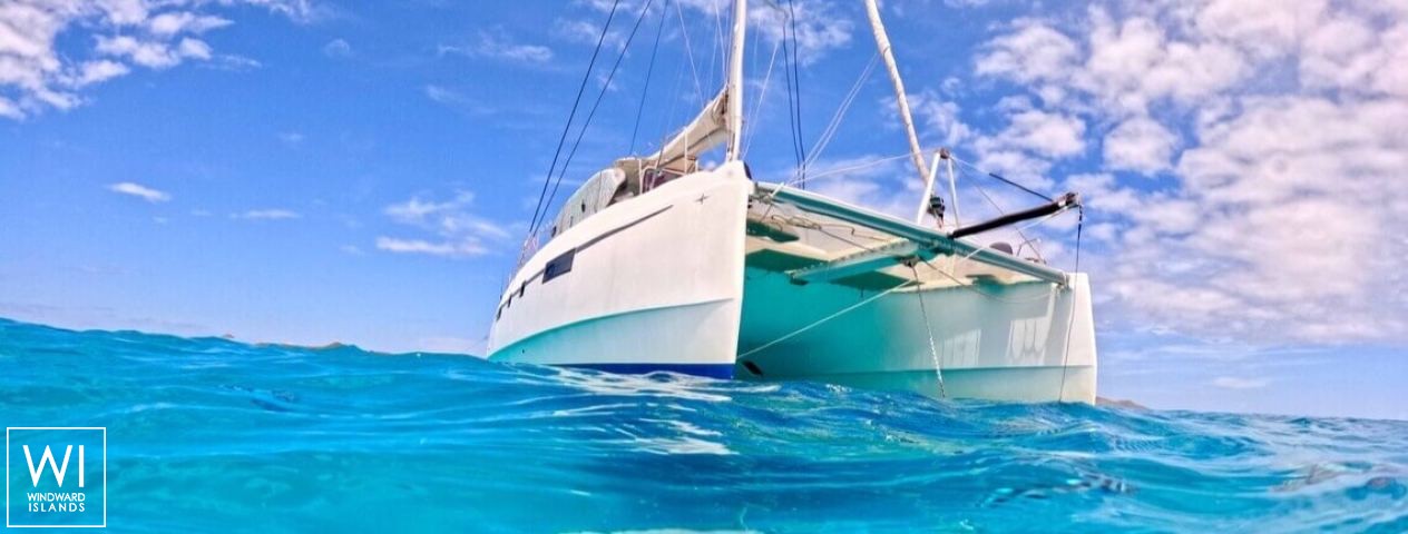 
																Papillon																 3