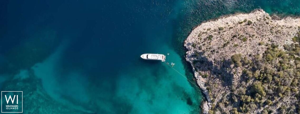 
																ESTIA YI																 4