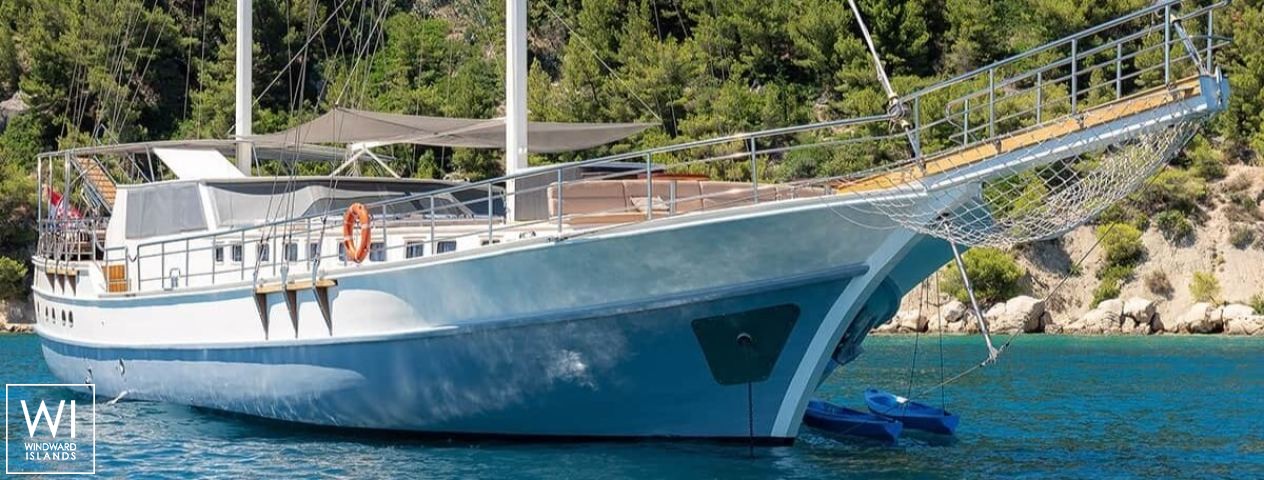 
																Nautilus																 6