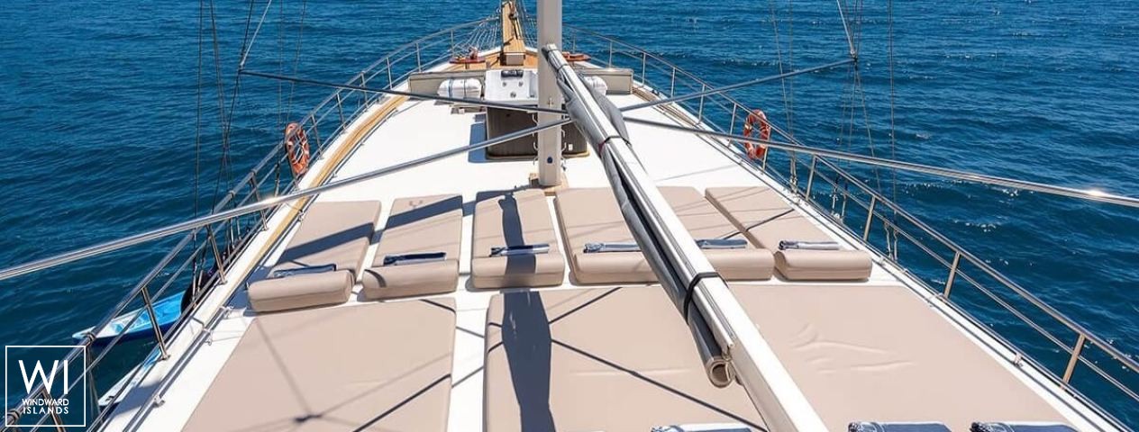 
																Nautilus																 3